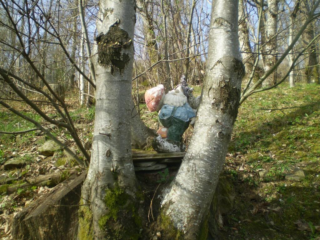 I 3 Porcellini Pension Cutigliano Buitenkant foto