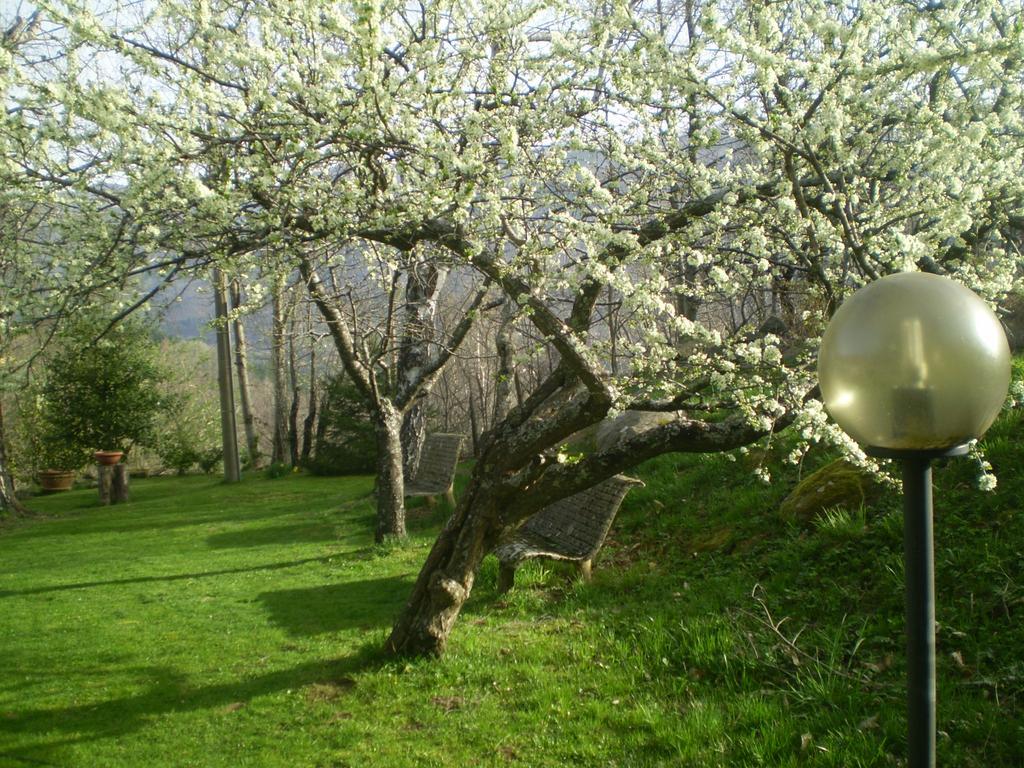 I 3 Porcellini Pension Cutigliano Buitenkant foto