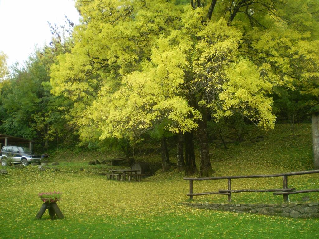 I 3 Porcellini Pension Cutigliano Buitenkant foto